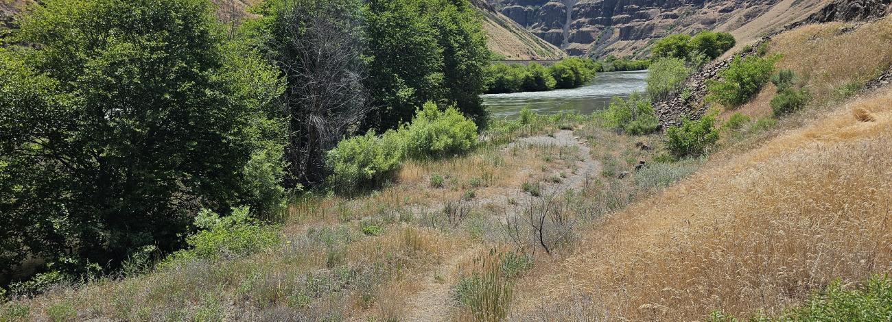 Trail leading to a small beach on the Deschutes River at Oakbrook Day Use Area