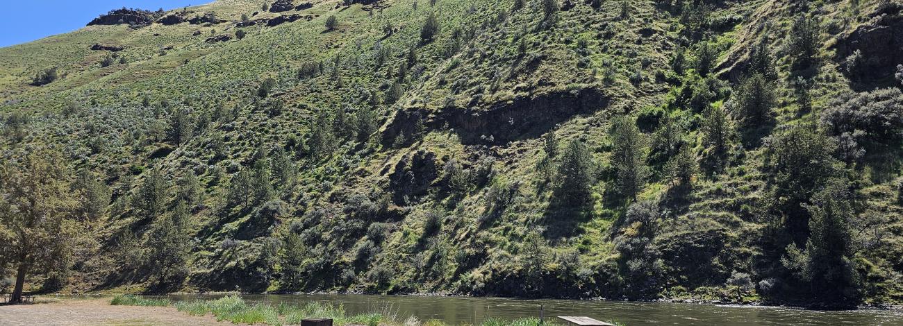 Riverside campsite along the North Fork John Day River