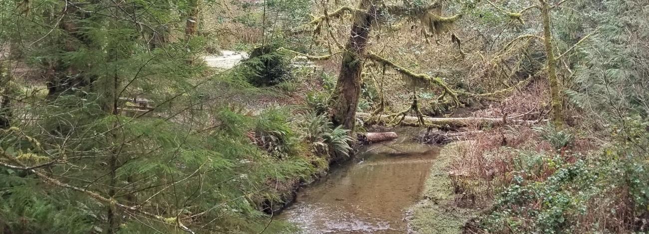 Park Creek Campground