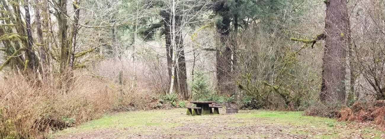 Vincent Creek Campground