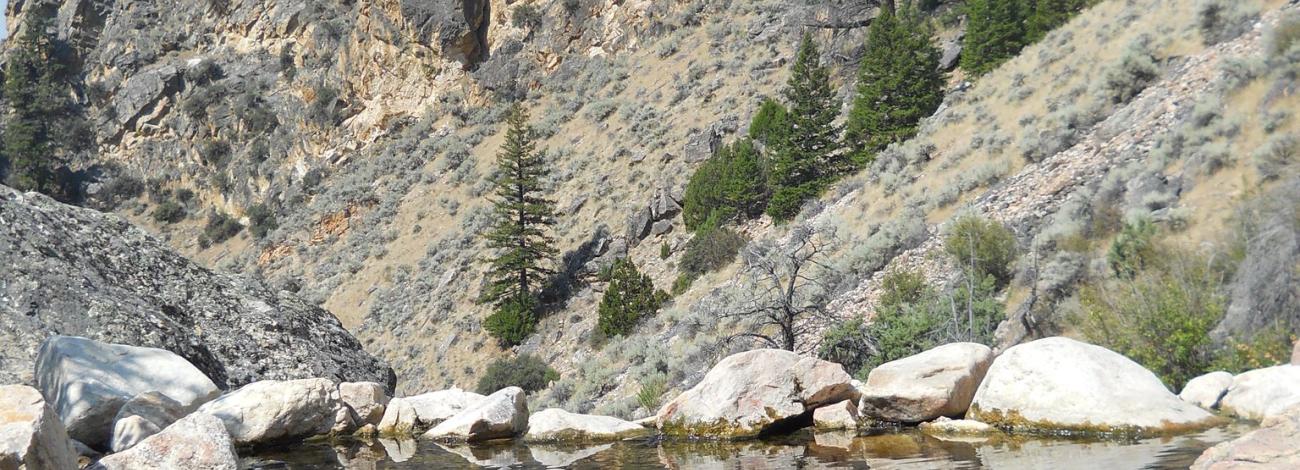 BLM Gold Bug Hot Springs