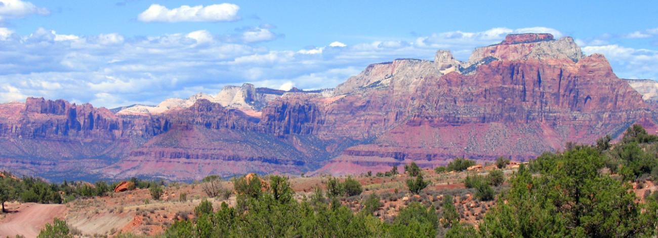 View of West Temple from the Smithsonian Butte National Back Country Byway. 