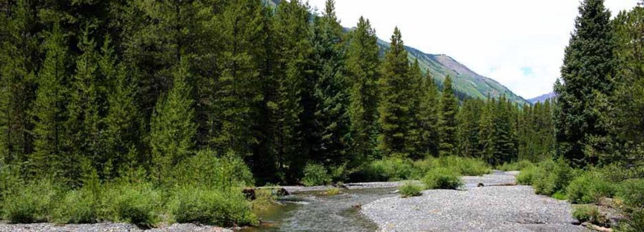 Views along the Slate River at Oh Be Joyful Campground