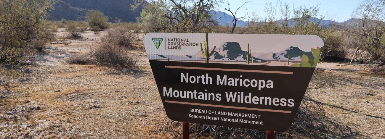 North Maricopa Mountains Wilderness Sign