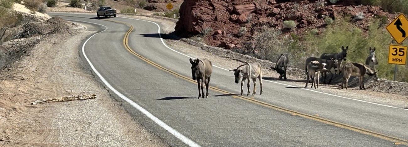 Parker Dam Road Back Country Byway
