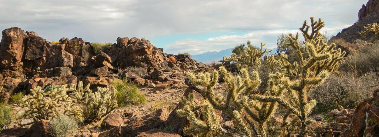 Warm Springs Wilderness