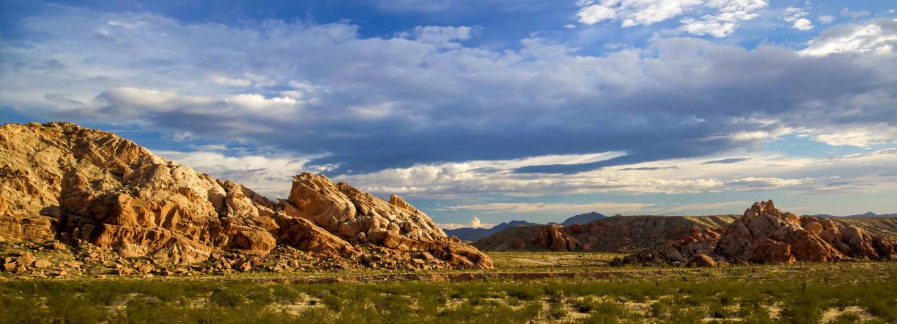 View of rock outcrops along Gold Butte Back Country Byway.
