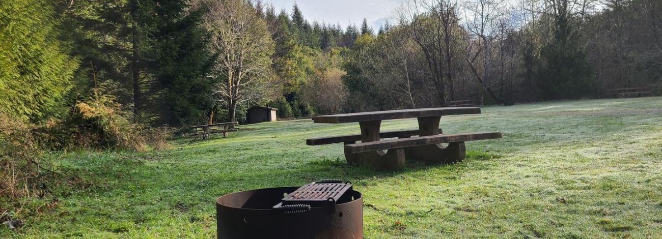 Edson Creek Campsite