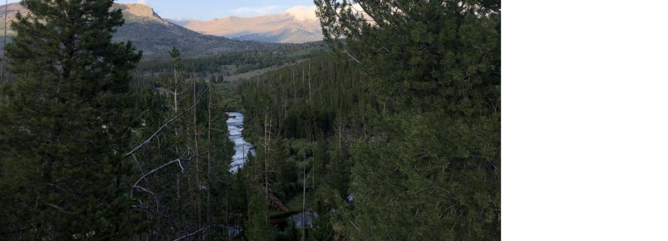 View Above the Sweetwater Guard Station Campground