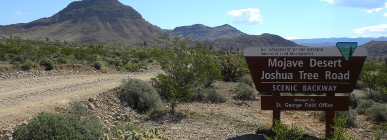 Mojave Desert Joshua Tree Road Scenic Byway Entrance Sign