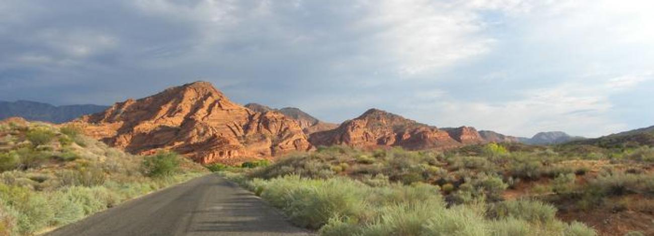 Red Cliffs Campground Road