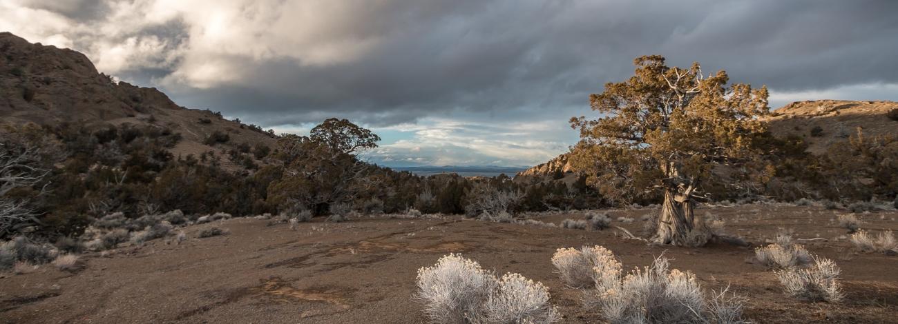 Sunset view of high desert landscape atop the Black Hills ACEC