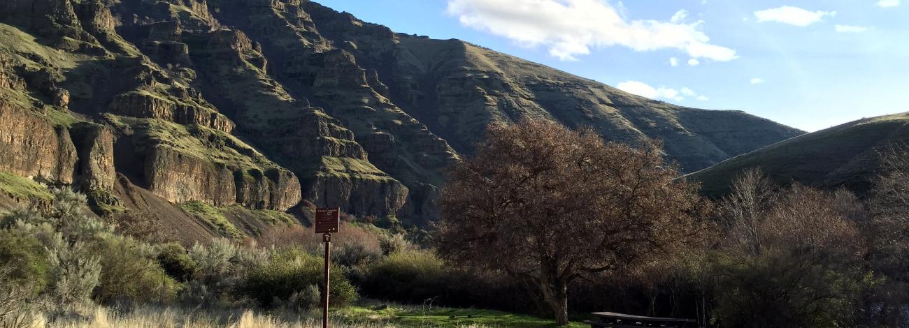 Late afternoon view of the Deschutes River canyon and of the group campsite (Campsite 1) at Rattlesnake Canyon Campground