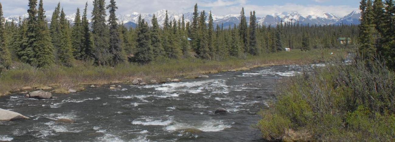Brushkana Creek Campground 