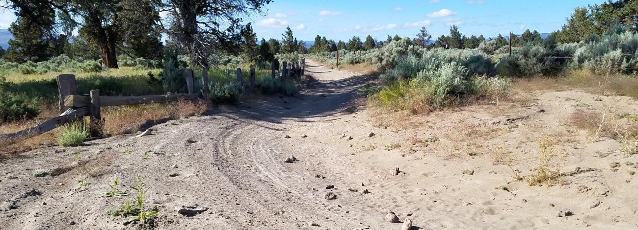 OHV Trail at Alfalfa Curves Staging Area