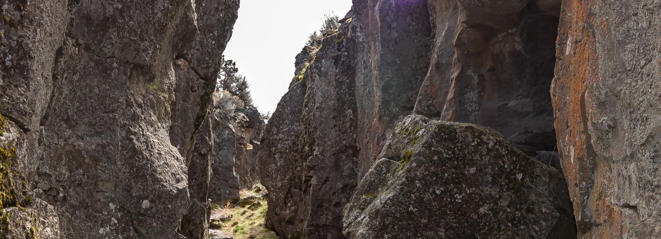 Trail through Crack-in-the-Ground