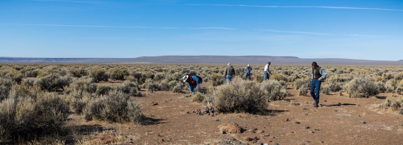 Visitors hunt for sunstones at the Sunstone Collection Area