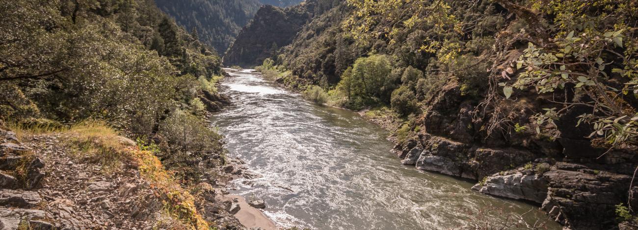 Trailside view of Rogue River, May 4, 2017.