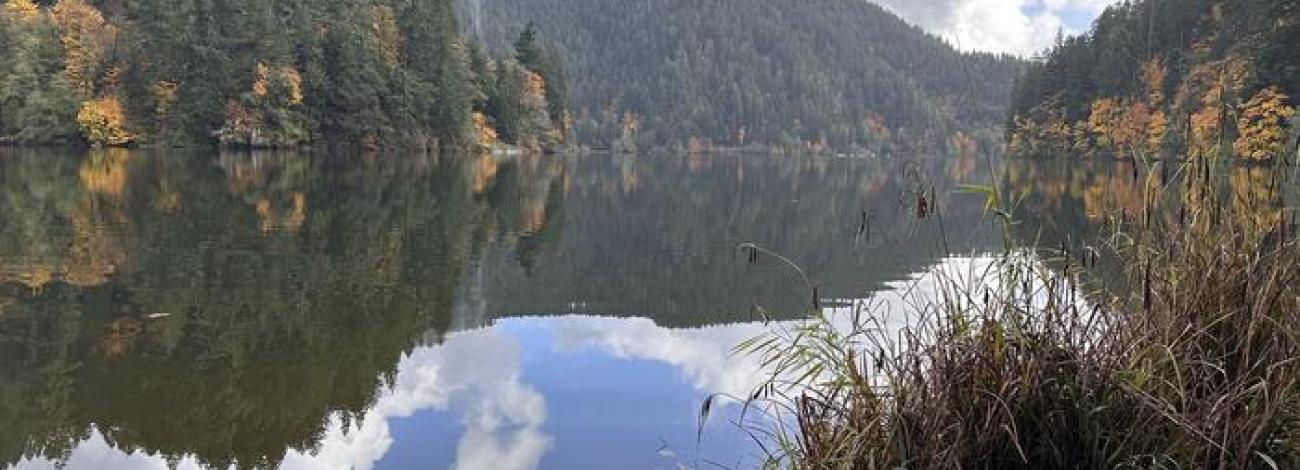 View of Loon Lake from the day use area beach.