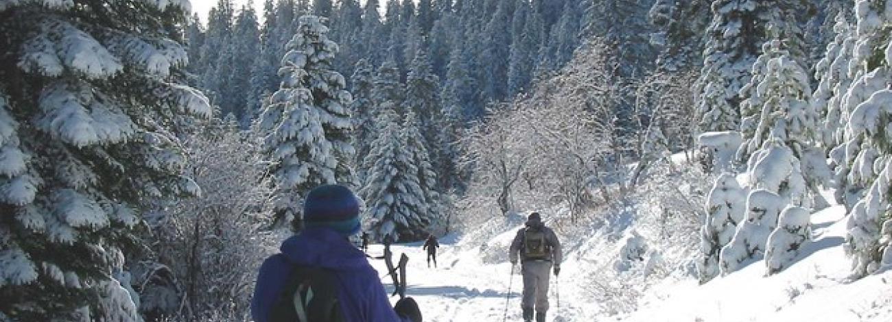 Skiing after the storm.