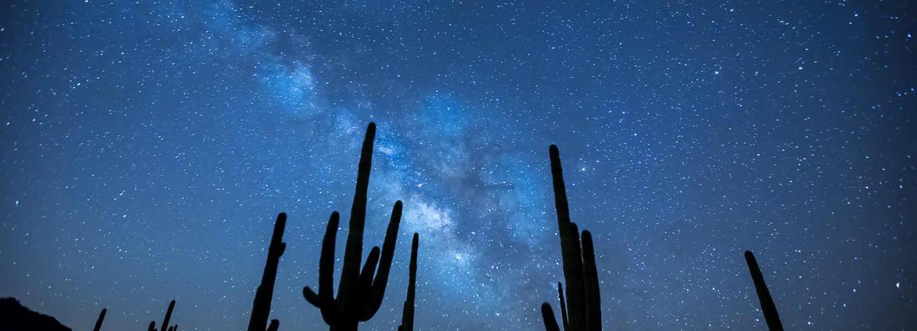 Sonoran Desert National Monument