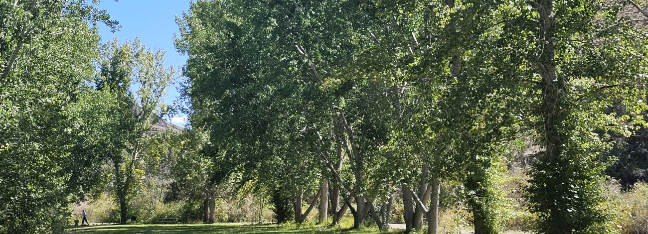 Inside the main campground loop