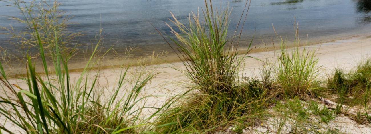 Kayakers on the trail