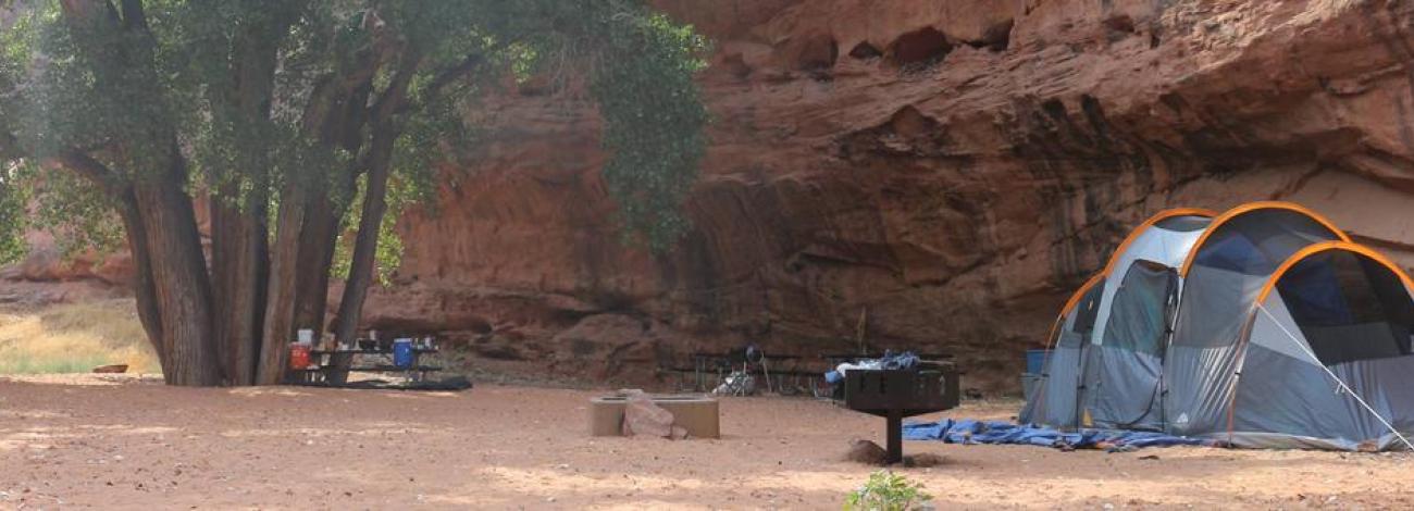 Moonflower Canyon Group Site