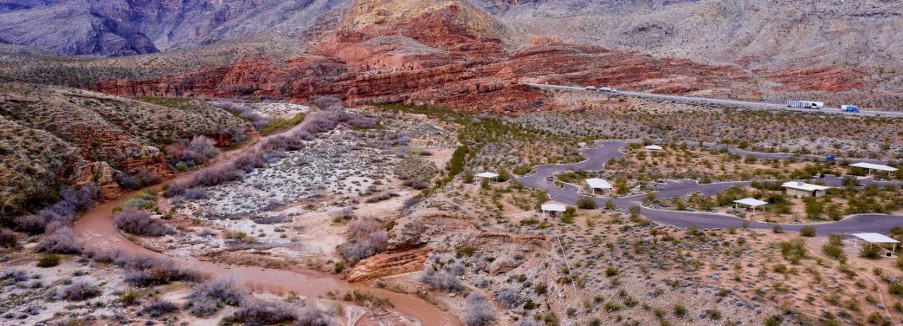 Virgin River flowing next to the Lower Loop