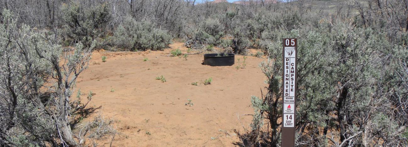 Lambs Knoll Designated Dispersed Camping Area