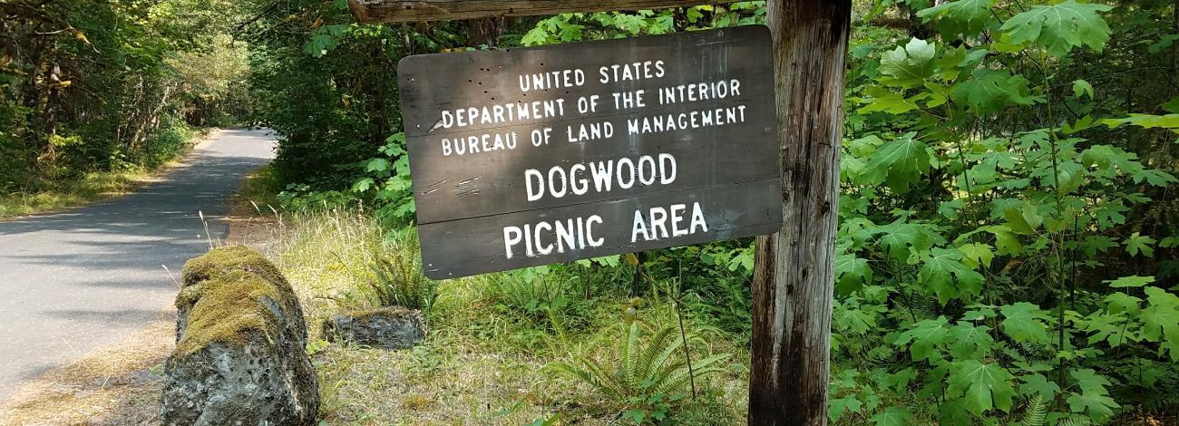 Site entry sign at Dogwood Picnic Area