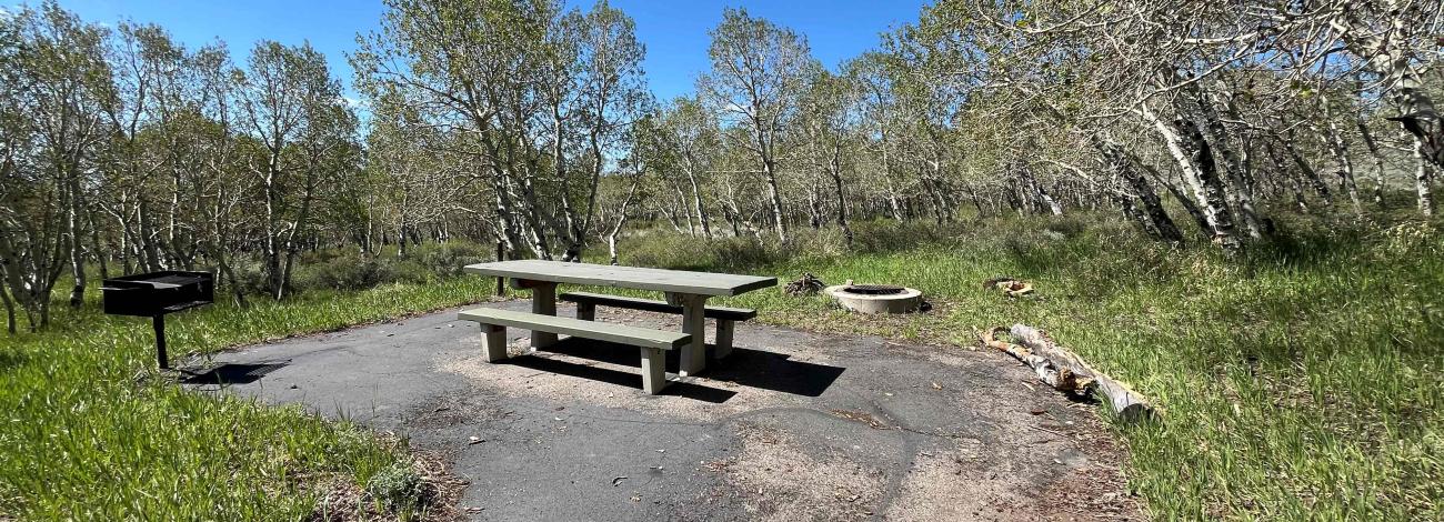 Picnic area featuring picnic table, grill, and fire pit