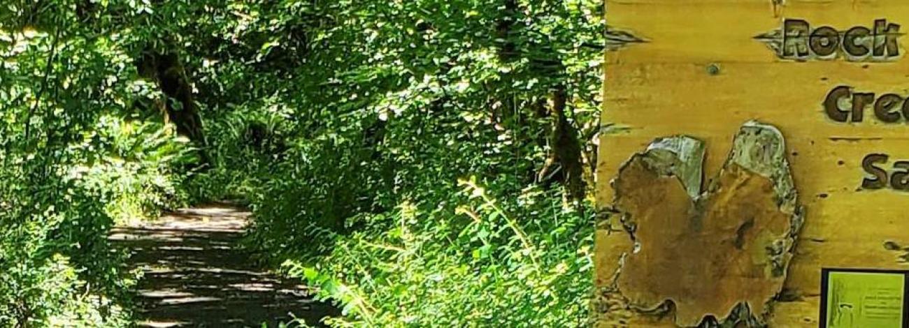 Trail at campground