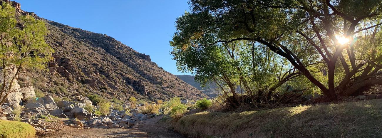 Agua Fria Riverbed