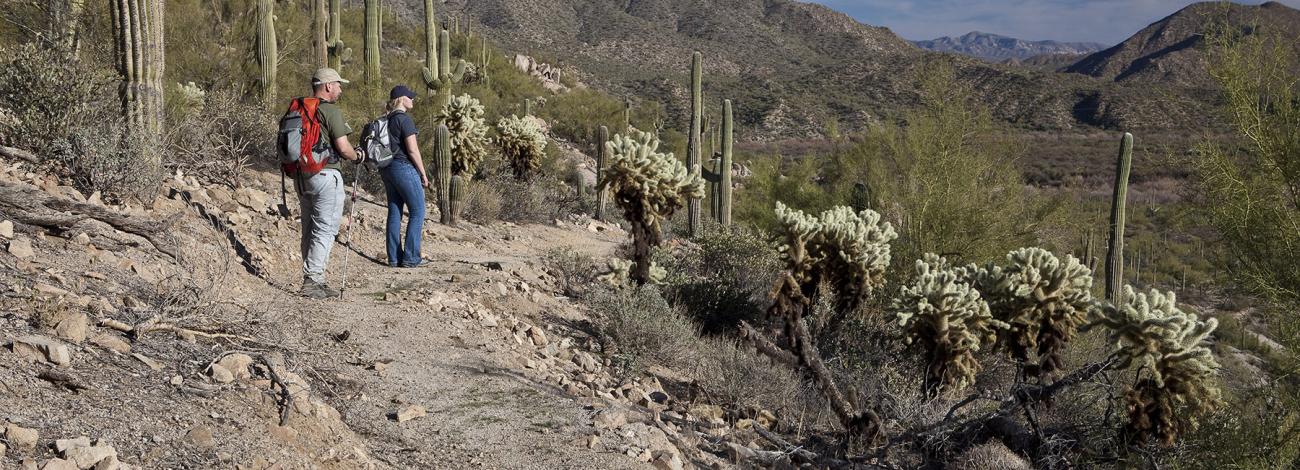 Arizona National Scenic Trail Passage 16