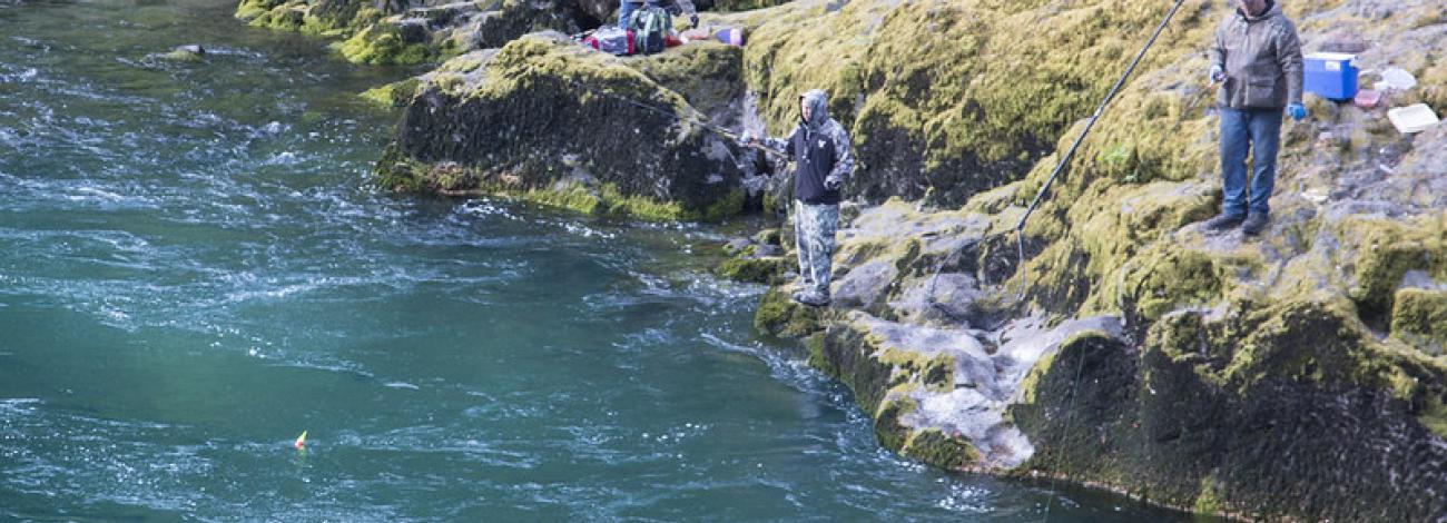 Bank fishing the Umpqua River at Swiftwater Day-Use Area