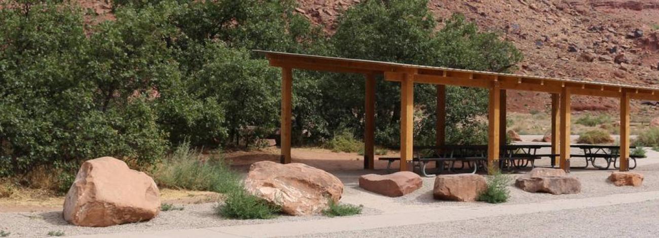 Big Bend Group Site A