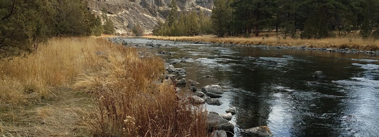 Crooked River at Poison Butte Campground