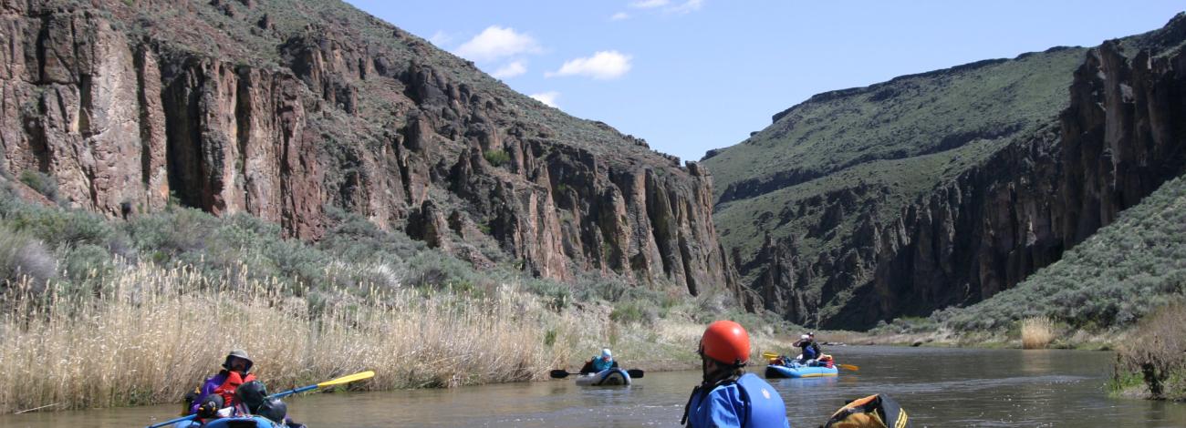 South Fork Owyhee