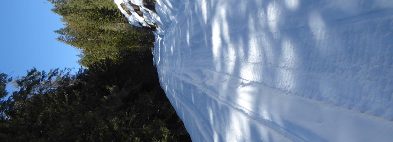 Snowy Red Marble Road in the North Huckleberry Mountains