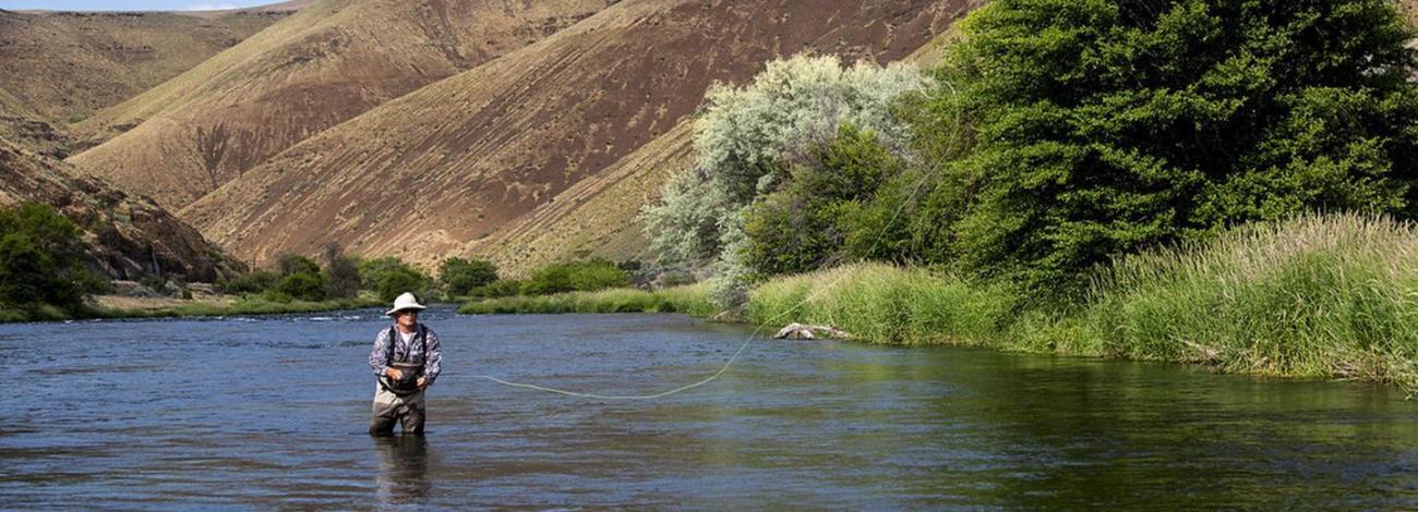 Fishing the “Lower D”