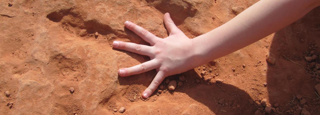 Red Cliff Dinosaur Tracksite