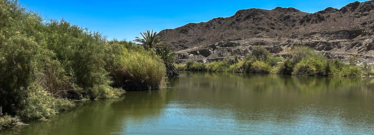 Betty's Kitchen Watchable Wildlife Viewing Area and National Recreation Trail south view