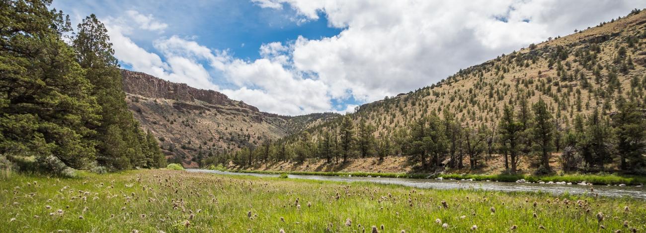 Crooked Wild and Scenic River, downstream from the Post Pile Campground