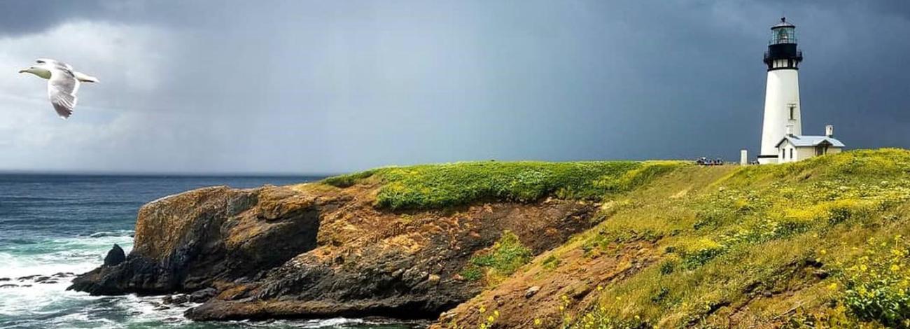 A bird flies in front of a lighthouse during a storm.