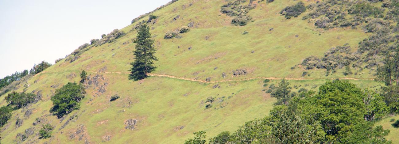East ART trail