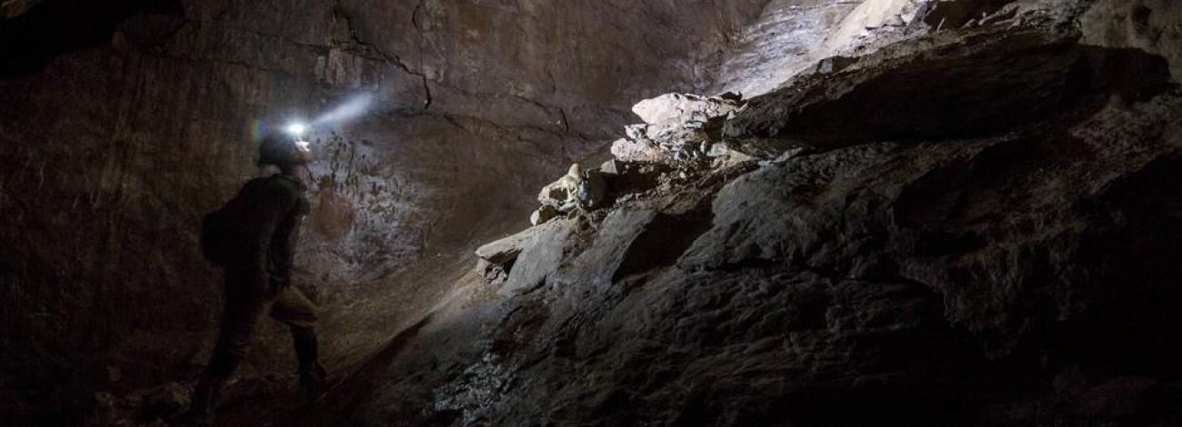 Bloomington Cave Trail