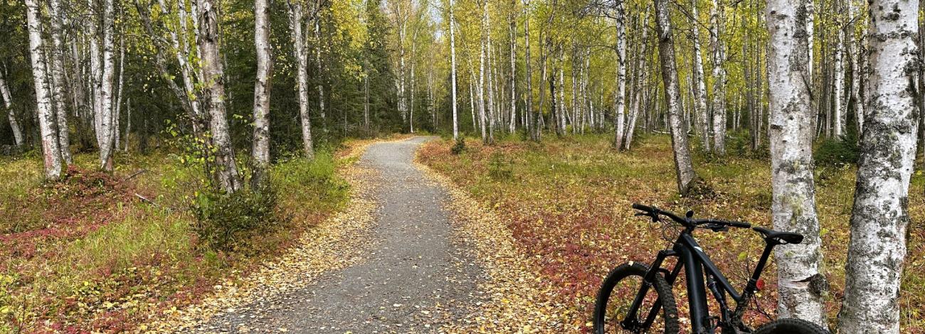 BLM Campbell Tract in the Fall