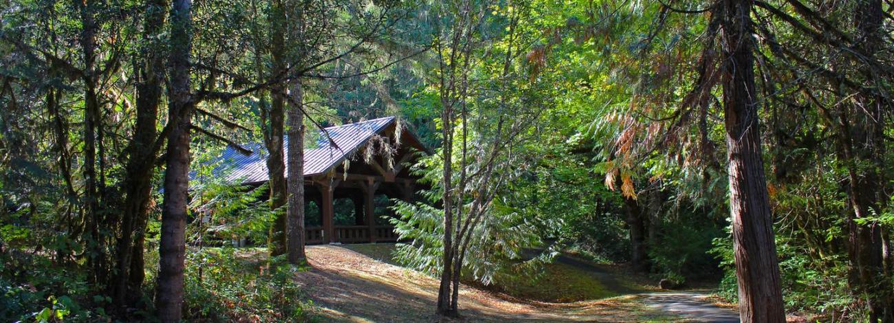 View of the pavilion and nearby paved path at Tyee Recreation Site