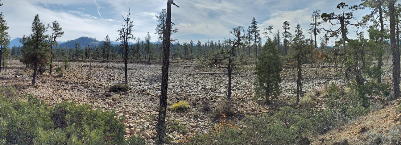 Panoramic view along the Rough and Ready Flat trail.